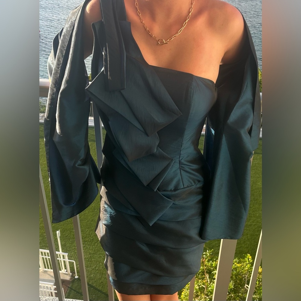 A stunning form fitting dress with an elegant neckline + sultry bold silhouette - Picture 9 of 14